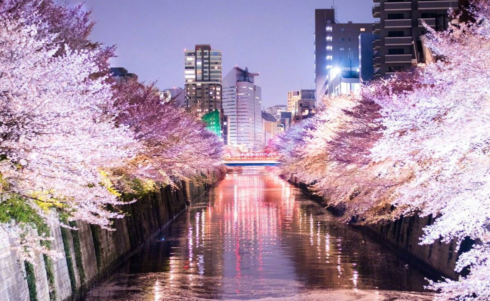 目黑川 目黑川