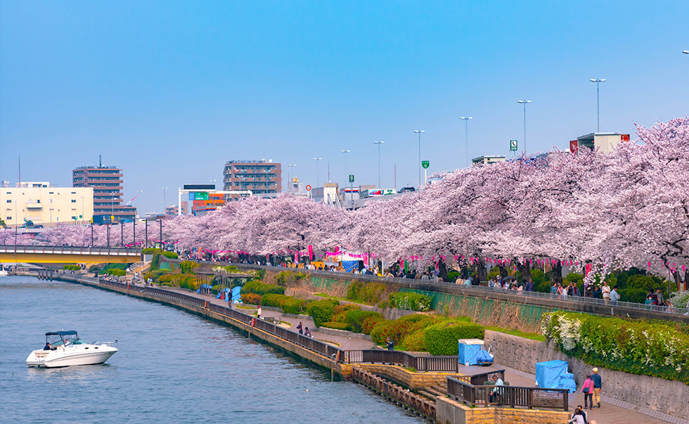 隅田公园 隅田公园
