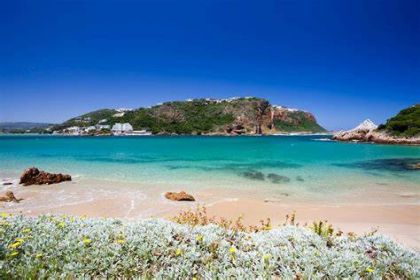 奈斯纳(Knysna1 奈斯纳(Knysna1