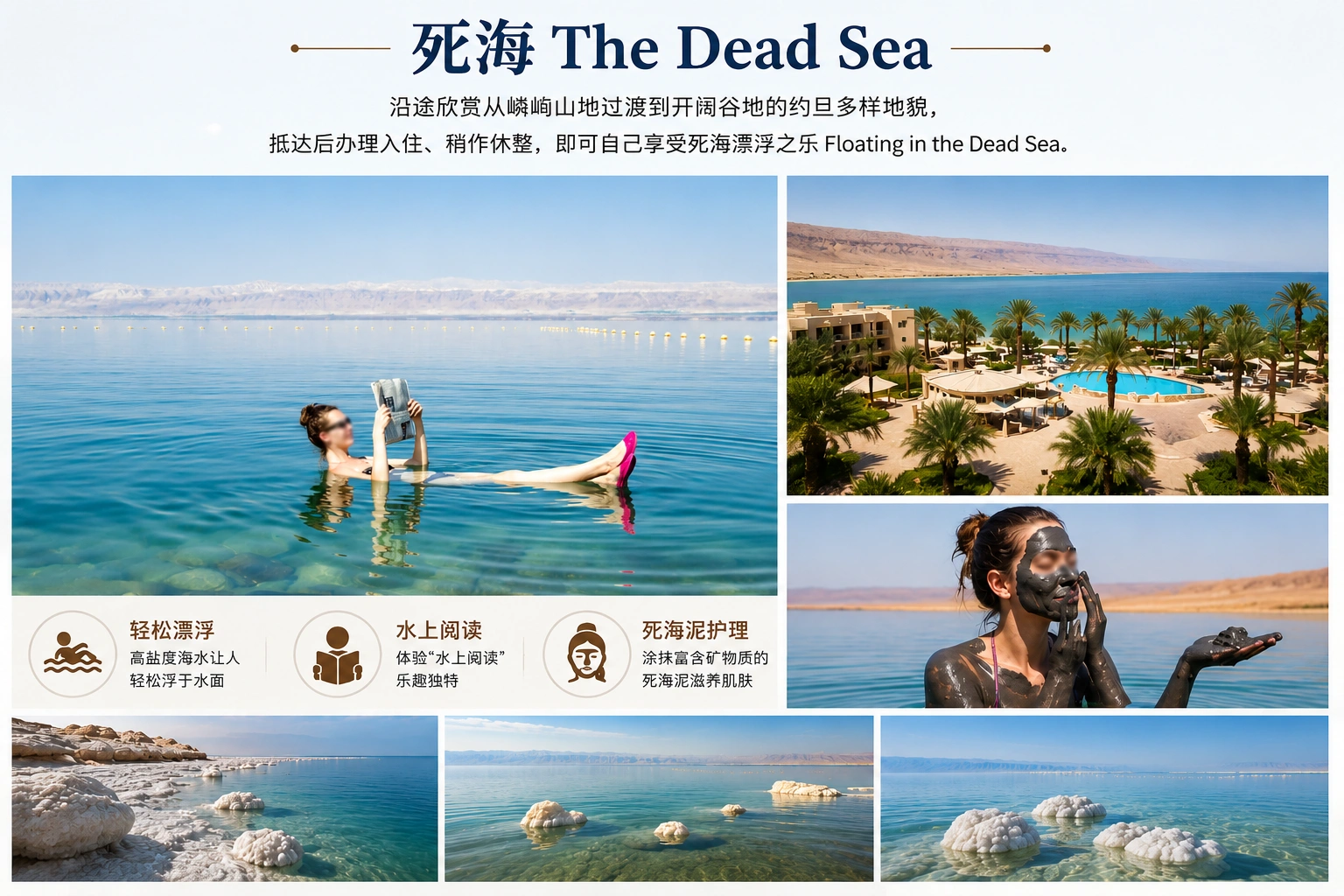 图片2.webp