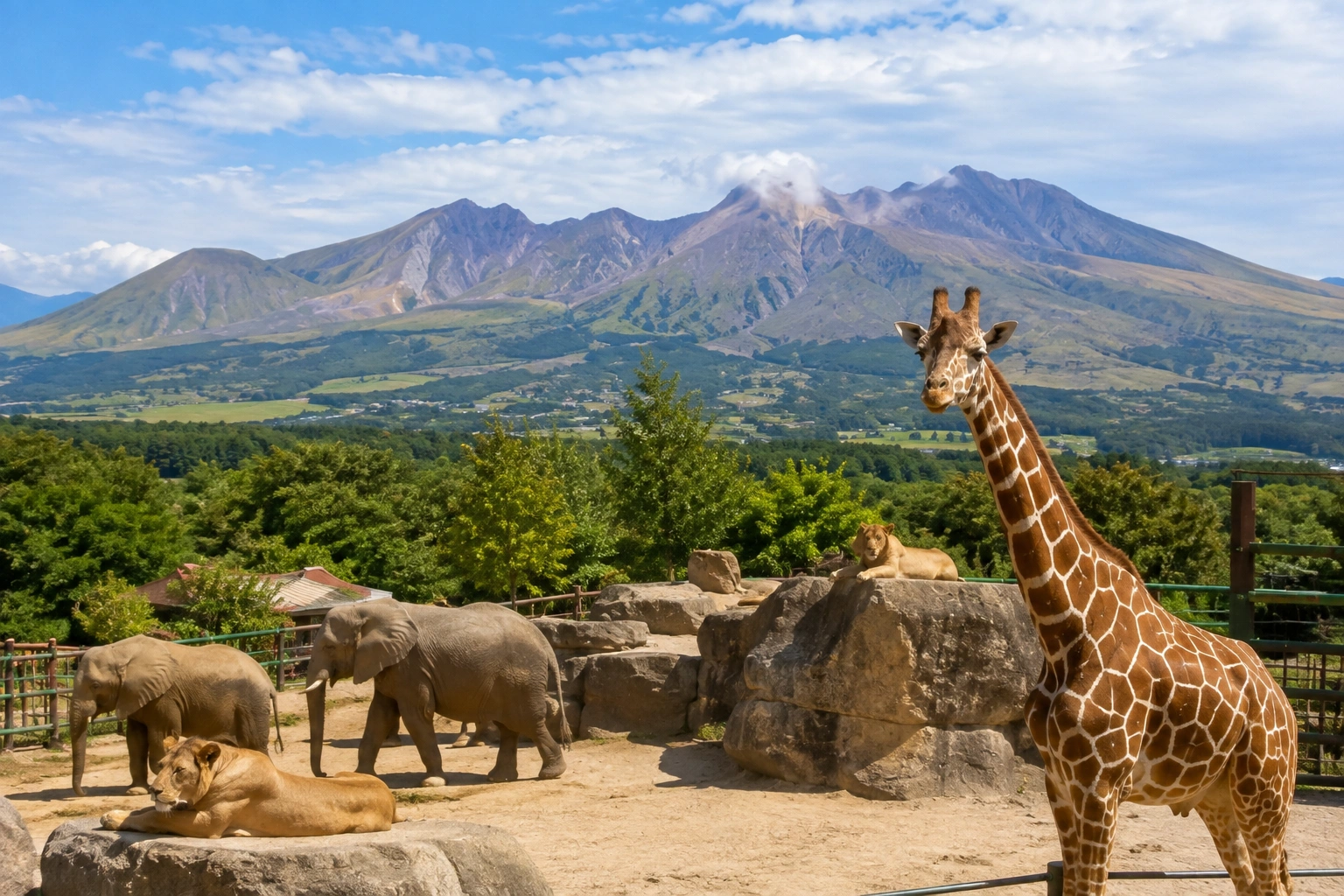 1785916989282935.webp 阿苏卡德利动物乐园.webp