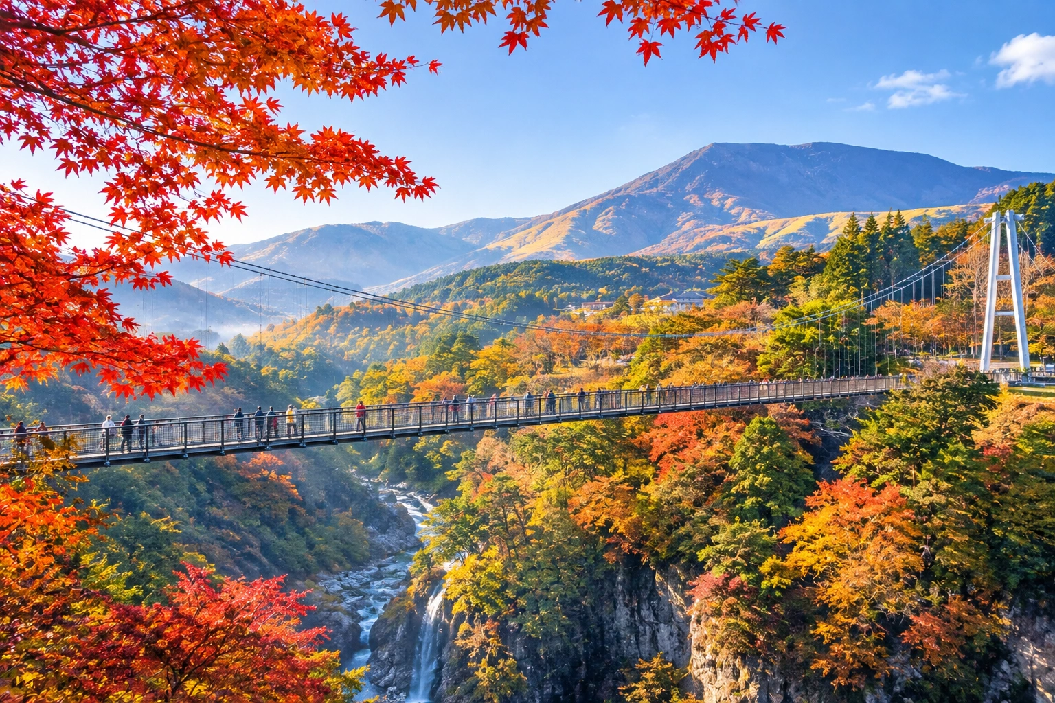 1785974470952011.webp 九重梦吊桥场.webp