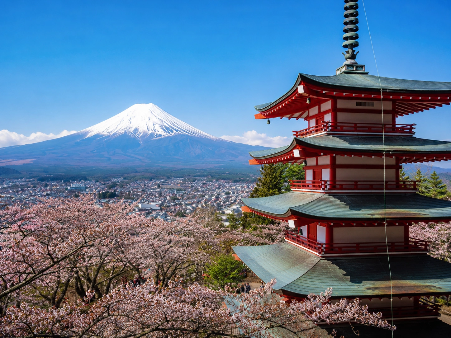 新仓山浅间公园.webp