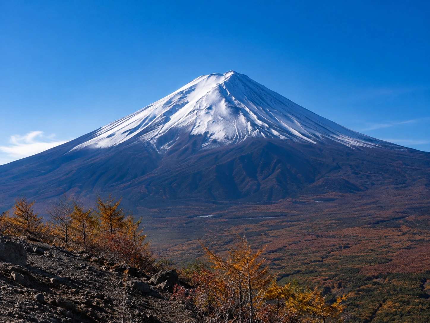 1786170423819619.webp 富士山五合目.webp